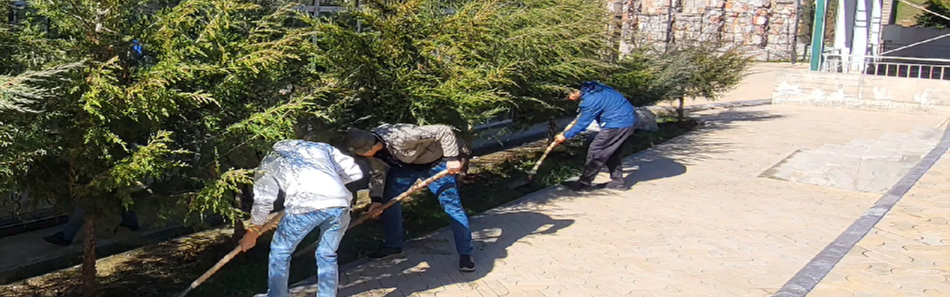 Видео превью